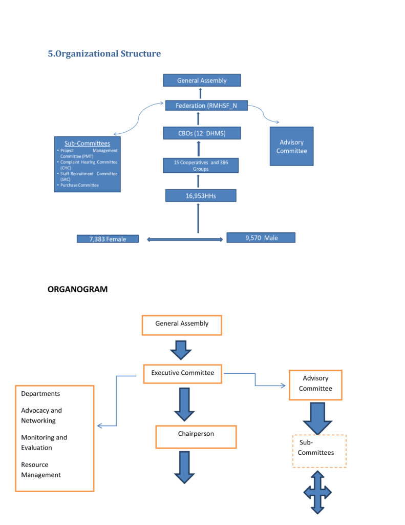 RMHS Organization Structure